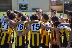 Hawks News: AMPJFC Newsletter