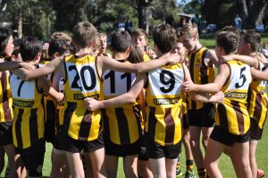Hawks News: AMPJFC Newsletter 6, 2019