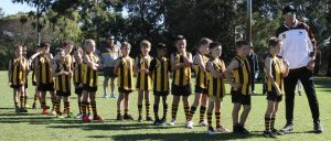 Hawks News: Team In Focus ~ Year 3 Brown