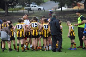 Hawks News: Team In Focus ~ Year 7