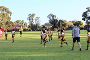 Hawks News: Team In Focus ~ Year 3 Gold