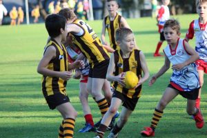 Hawks News: AMPJFC 2020 Coaches & Training Day