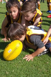 Hawks News: Register with AMPJFC