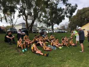 Hawks News: Team In Focus
