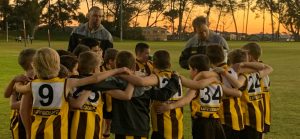 Hawks News: AMPJFC Newsletter