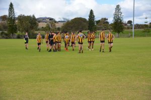 Hawks News: Team In Focus