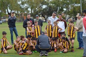 Hawks News: Team In Focus