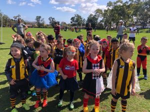 Hawks News: AMPJFC Newsletter