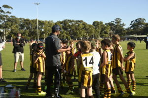 Hawks News: Team In Focus