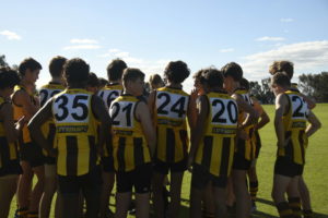 Hawks News: Team In Focus