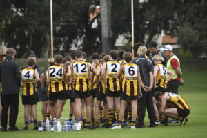 Hawks News: Team In Focus