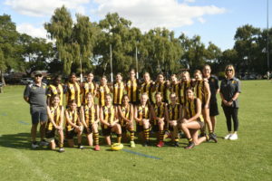 Hawks News: Team In Focus