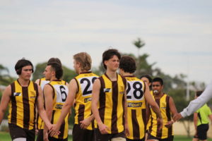 Hawks News: Team In Focus