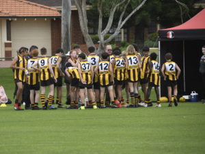 Hawks News: AMPJFC Sponsorship Package 2022