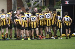 Hawks News: AMPJFC Newsletter