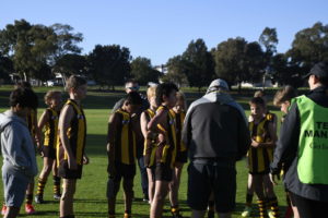 Hawks News: Team In Focus
