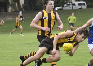Hawks News: AMPJFC Season 2022 Fixtures