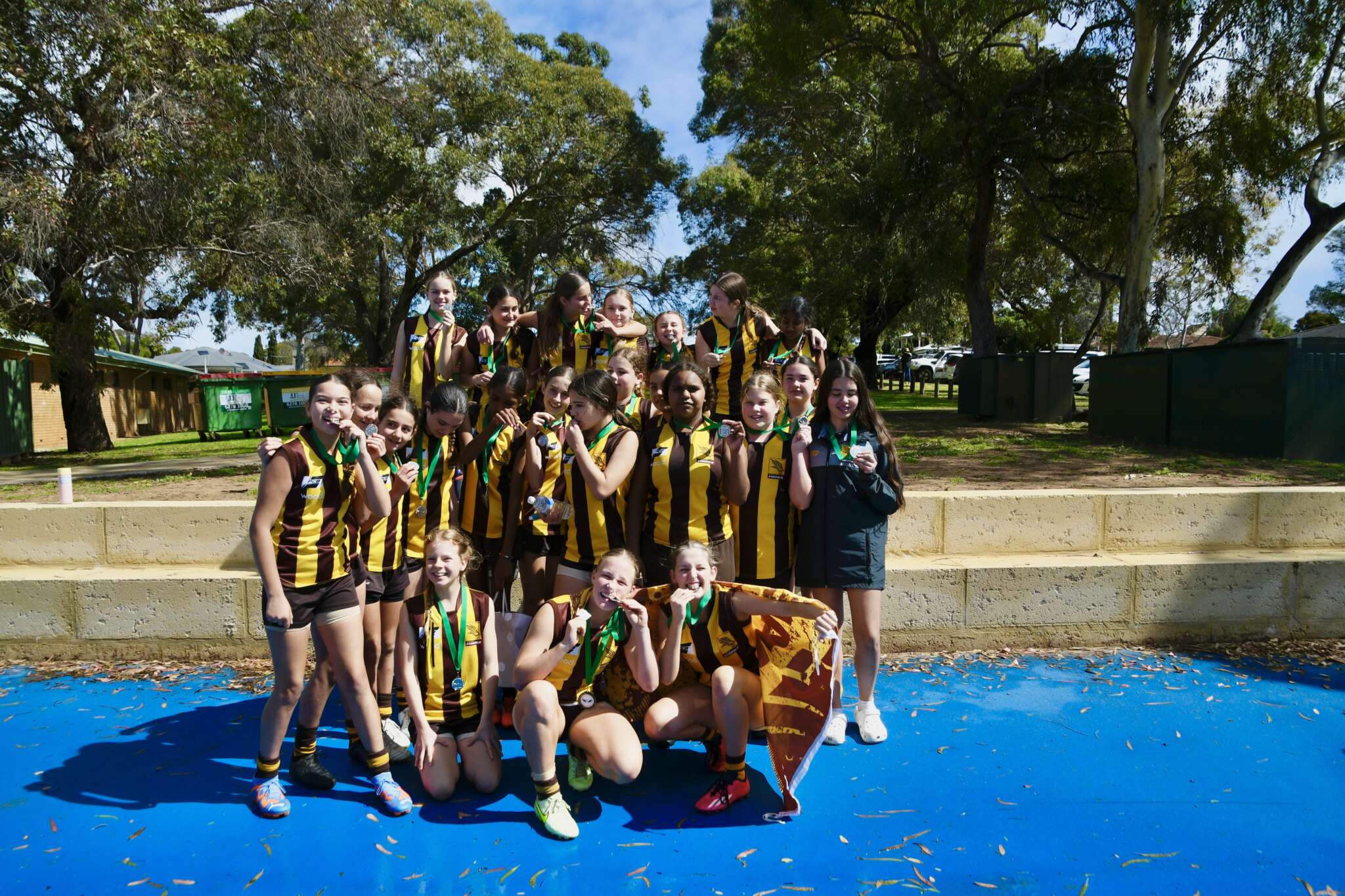 All Used News: Our 7/8 Girls, Runners Up Premiers!