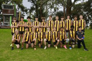 Hawks News: 2023 Premiers